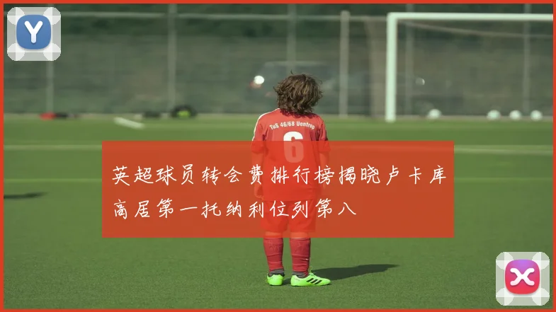 英超球员转会费排行榜揭晓卢卡库高居第一托纳利位列第八