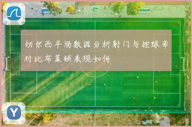 切尔西半场数据分析射门与控球率对比布莱顿表现如何